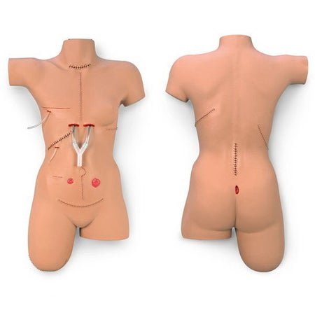 Bandaging Simulator Life/form® Surgical Sally Female Adult 40 lbs. Vinyl