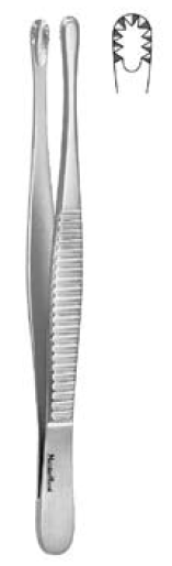 Dressing Forceps MeisterHand® 8 Inch Length OR / Surgical Grade German Stainless Steel NonSterile NonLocking Thumb Handle Straight Serrated Tips