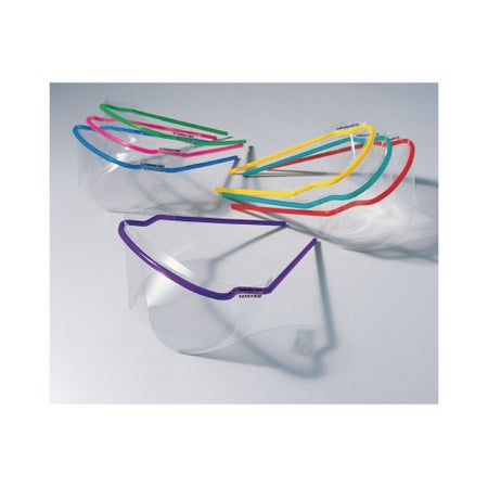 SafeView Replacement Lens