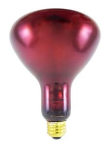 Surgical Infrared Lamp
