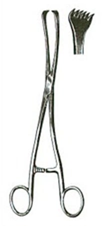 Membrane Puncturing Forceps Miltex® Iowa 10-1/4 Inch Length OR / Surgical Grade German Stainless Steel NonSterile Locking Finger Ring Handle Double Curved 6 X 6 Teeth