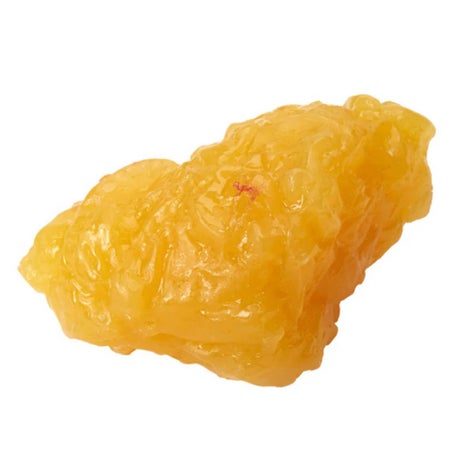 Body Fat Replica Model Life/form® 1 lbs.