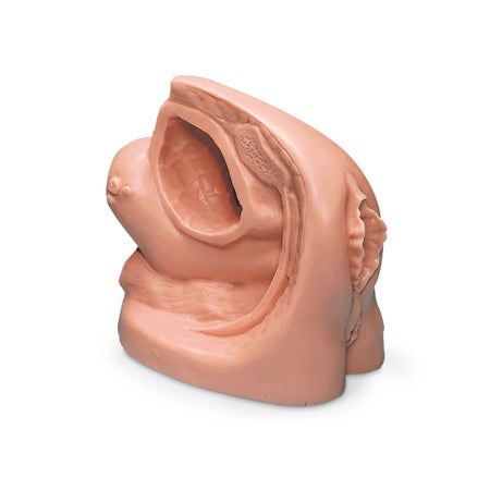 Catheterization Model Life/form® Female