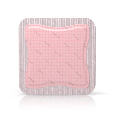Silver Foam Dressing Allevyn Ag Gentle Border Silicone Adhesive with Border 7 X 7 Inch Square Sterile