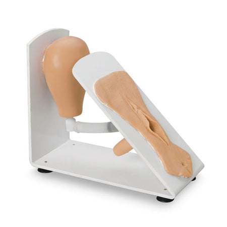 Female Catheterization Training Model