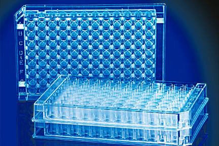 96-Well Microplate Fisherbrand™ Square Well 450 µL NonSterile