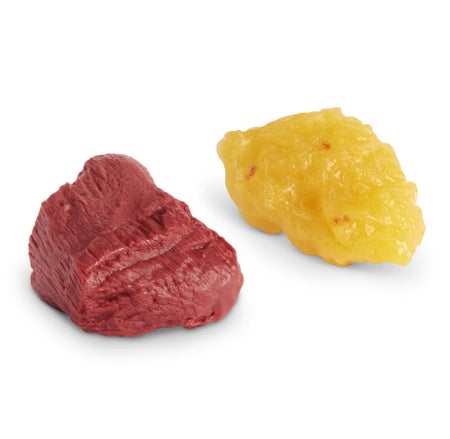 Fat and Muscle Replicas on Base Life/form® 1 lbs. Vinyl Plastic