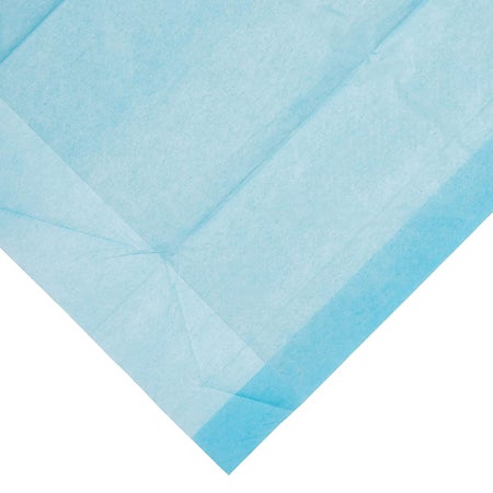 Disposable Underpad Dynarex® 23 X 24 Inch Fluff Light Absorbency