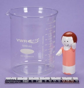 Laboratory Beaker Glass 1,000 mL (32 oz.)