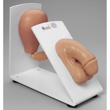 Catheterization Training Model Simulaids® Male Male 3 lbs.