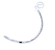 Uncuffed Endotracheal Tube Flexicare® VentiSeal Curved 2.5 mm ID Neonate Murphy Eye