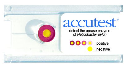 H. Pylori Test Kit Accutest® H. Pylori 50 Tests CLIA Waived