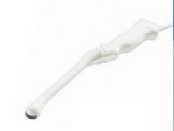 Ultrasound Probe Vivid™ T8 E8C-RS, 4 to 11 MHz Scanner Frequency Range, 128° Field of View, 14 cm Depth of Field, 23 X 23 mm Footprint, Fetal Echo, Follicle, GYN, OB, Prostate, Transvaginal, Transrectal
