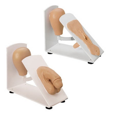 Catheterization Simulator Simulaids® Male and Female Male / Female 8 lbs.