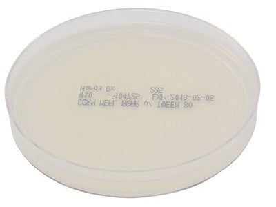 Prepared Media Corn Meal Agar with Tween® 80 Deep Fill Plate Format