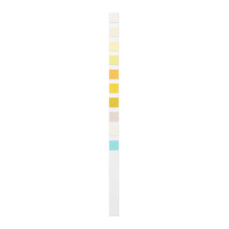 Urinalysis Reagent Rapid Response™ Bilirubin, Blood, Glucose, Ketone, Leukocytes, Nitrite, pH, Protein, Specific Gravity, Urobilinogen For in vitro diagnostic use only