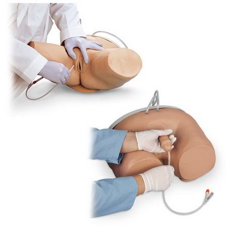 Catheterization Trainer Life/form® Pelvis Area / Light Skin Tone Male / Female Interchangeable Adult 33 lbs.