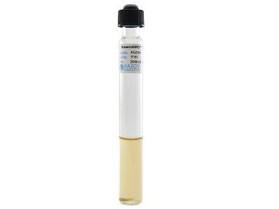 Pre-reduced Culture Media AnaeroGRO™ Thioglycollate with Hemin and Vitamin K Tube Format