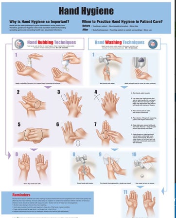 Anatomical Chart Hand Hygeine 20 X 26 Inch Heavy Paper Grommets Laminated