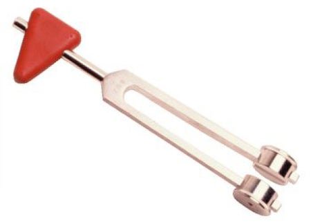 Taylor Hammer with Tuning Fork Aluminum 128 cps
