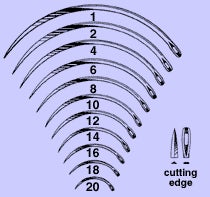 Reverse Cutting Suture Needle Anchor™ 2.5 Inch Length Regular Surgeon's Type Size 18 Needle Single Use