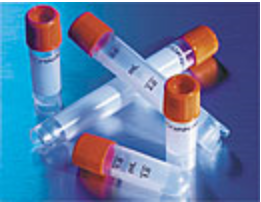 Cryogenic Vial Corning® Polypropylene 2 mL Screw Cap