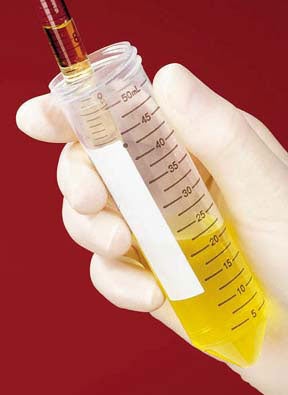 Fisherbrand™ Easy Reader® Centrifuge Tube Plain 15 mL Plug Seal Cap Polypropylene Tube