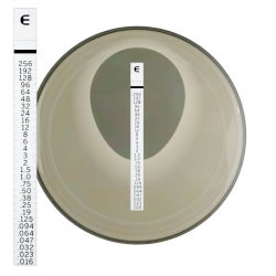 Microbiology Reagent ETEST® Micafungin (MYC) For Research Use Only For Manual Quantitative Technique 30 Tests