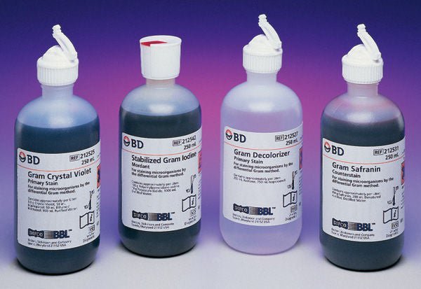 Gram Stain Set BD BBL™ 4 X 250 mL - McKesson