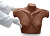 Breast Self-Examination Simulator and CD Gaumard®