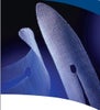 Inguinal Hernia Repair Mesh Bard® Nonabsorbable Polypropylene Monofilament 1-4/5 X 4 Inch Rectangle White Sterile